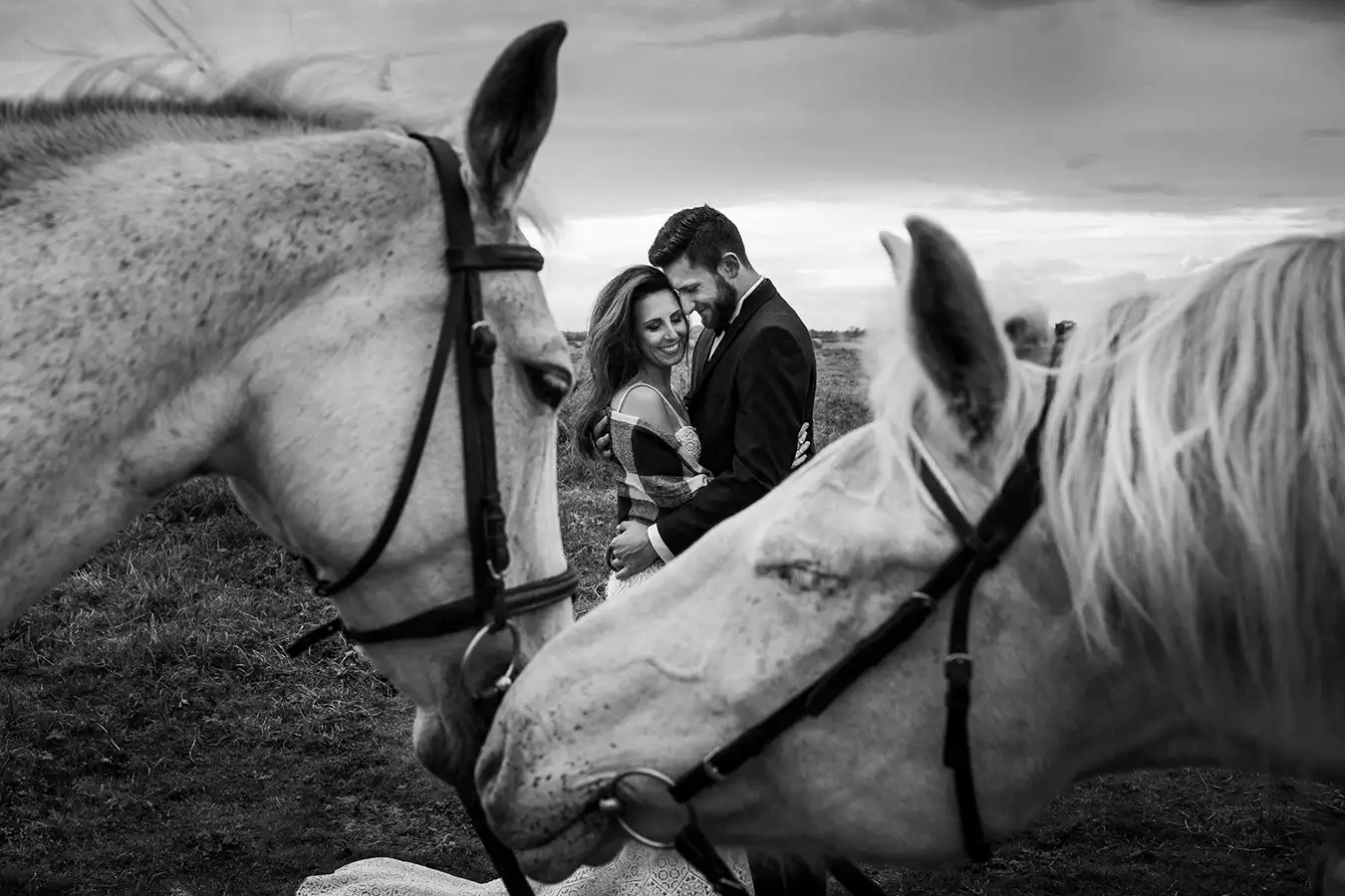 sesja ślubna z końmi